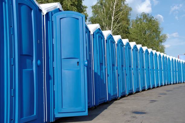 Best Sanitation services for porta potties  in Fellsmere, FL